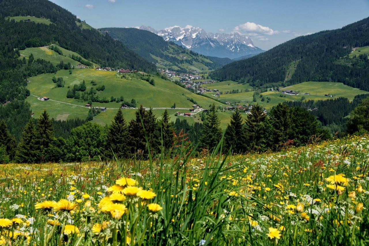 Hotel Haus Daniela Wildschoenau Exteriér fotografie